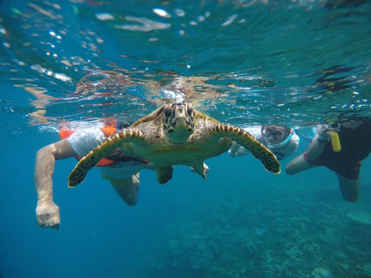 Hus i South Male Atoll på 320 kvm, med 11 soverom, 12 bad Guraidhoo  Eksteriør bilde